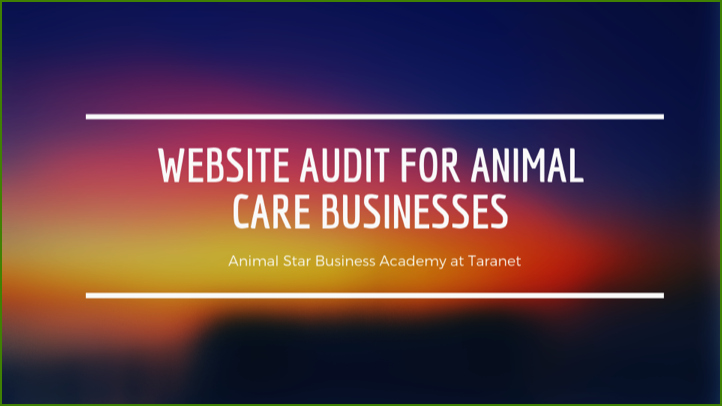Top tips to audit your animal care biz website