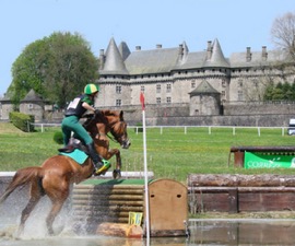 Horse jumping in lake