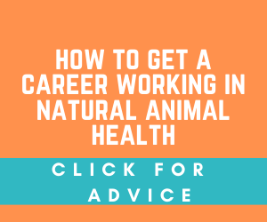 Animal Health Career Advice