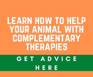 Complementary Animal Therapy Advice